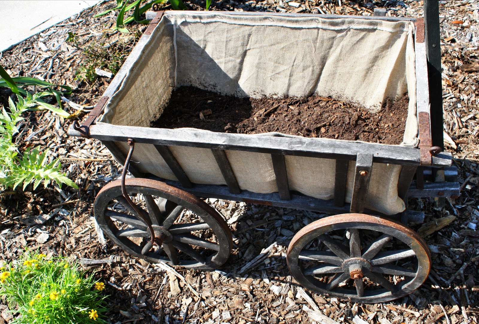 sew grown Growing potatoes vertically