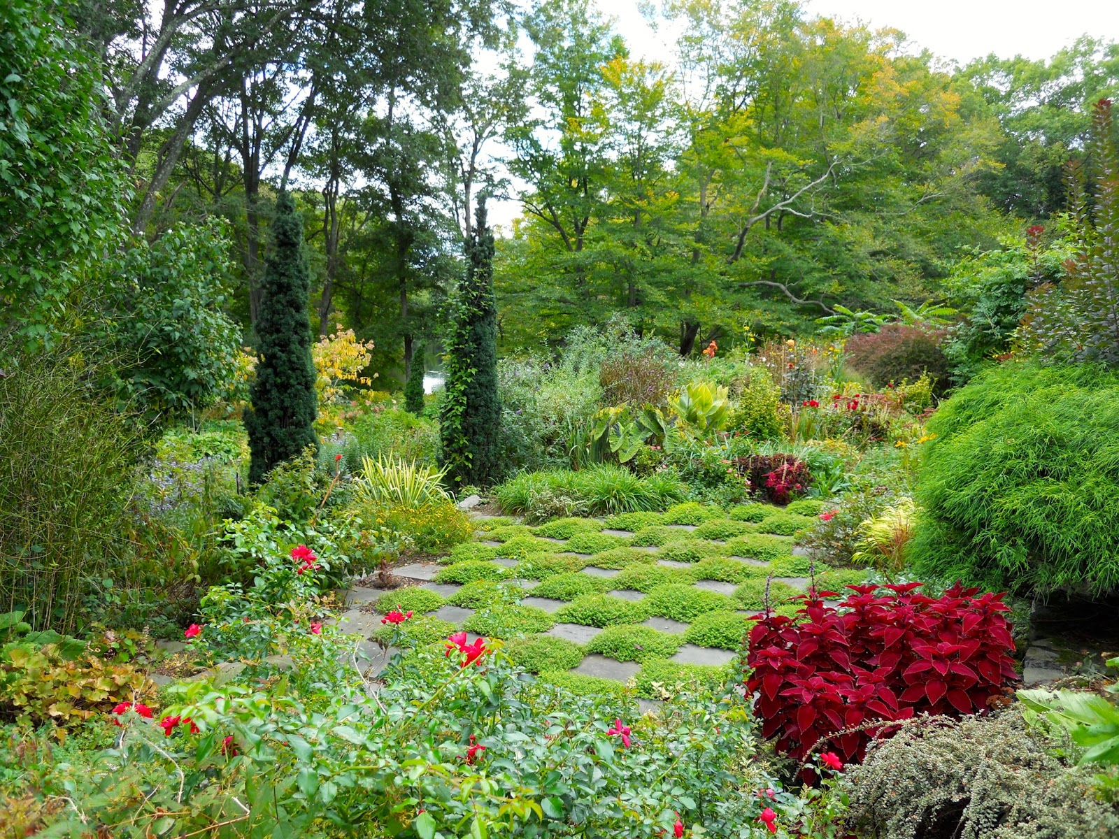 A Year In The Garden: D IS FOR DAHLIA