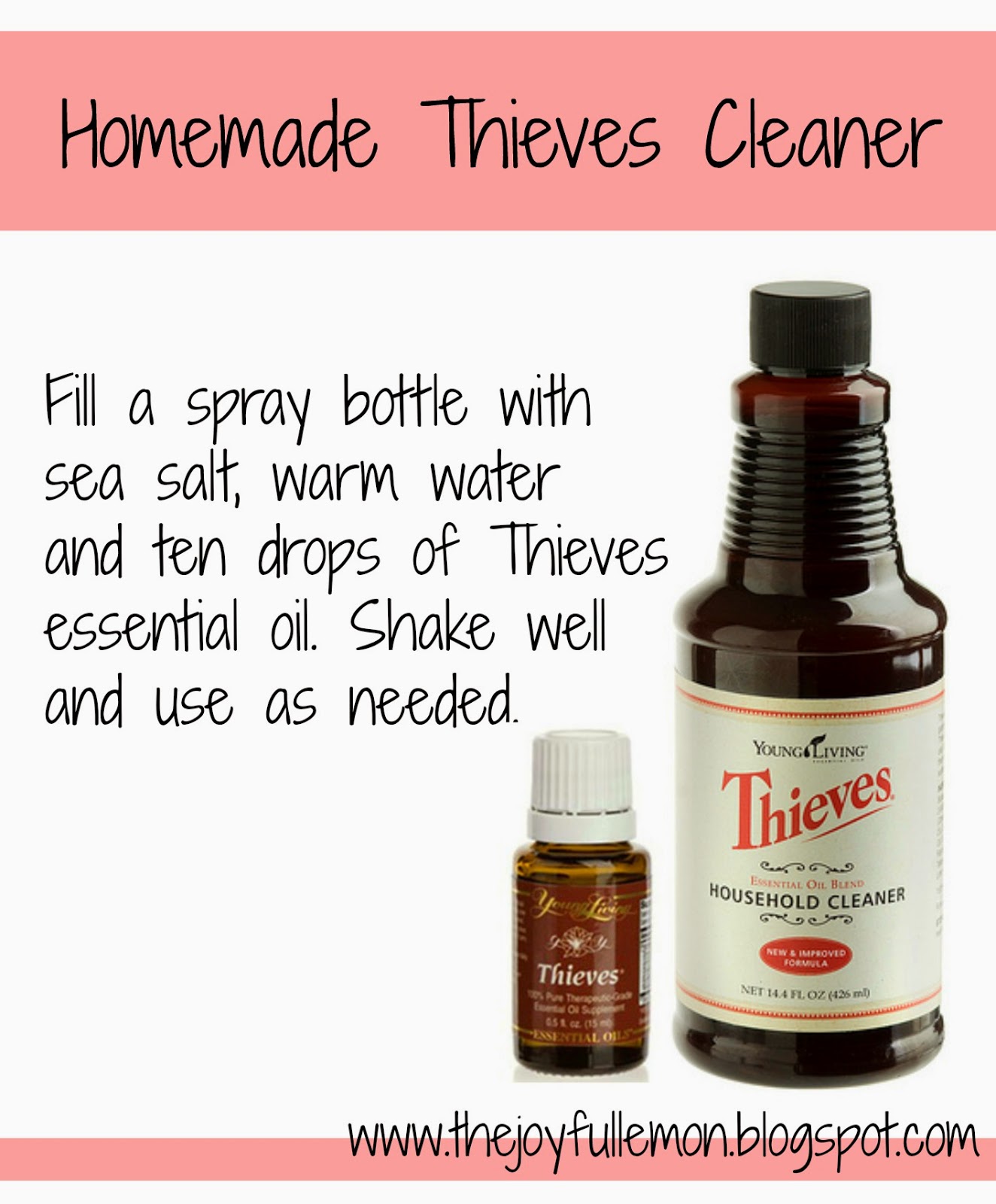 Living Wholly Homemade Thieves Cleaner