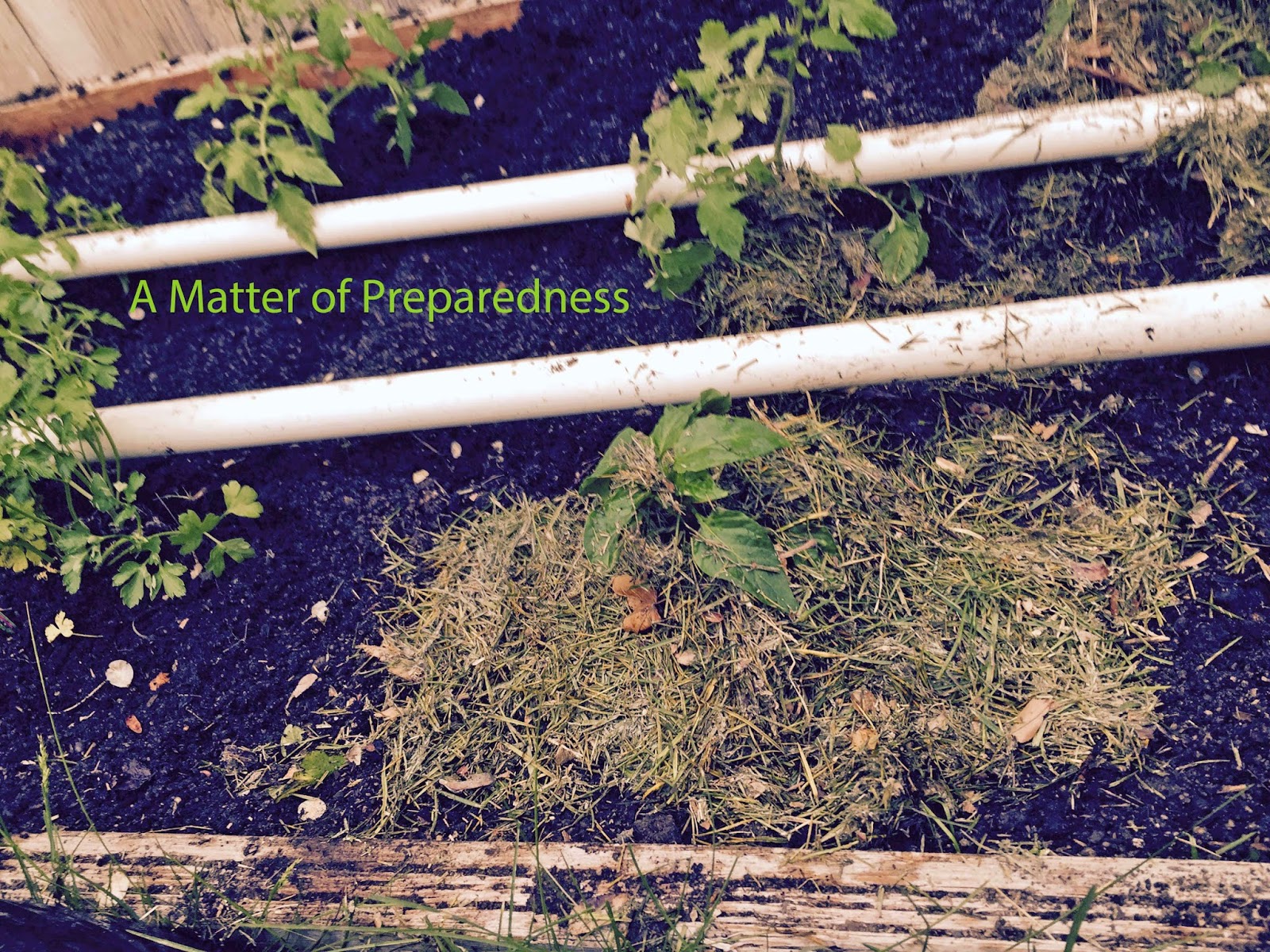 Now, I am going to garden a bit differently this summer, so I am going to leave the holes at the top instead of the bottom.