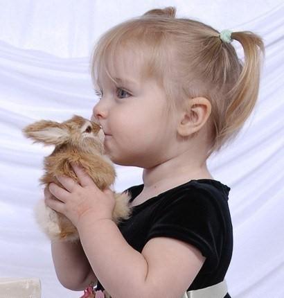 follow the black rabbit tavsan sosyal bir varliktir