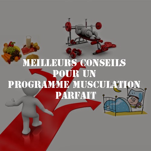commencer la musculation