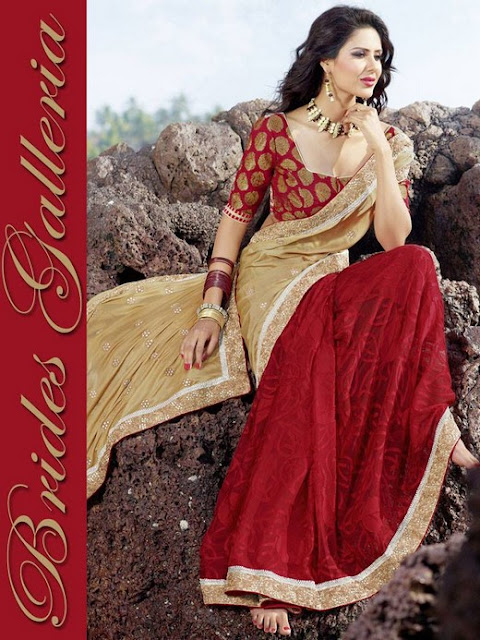 Superb Party Wear Sarees 2013 By Brides Galleria