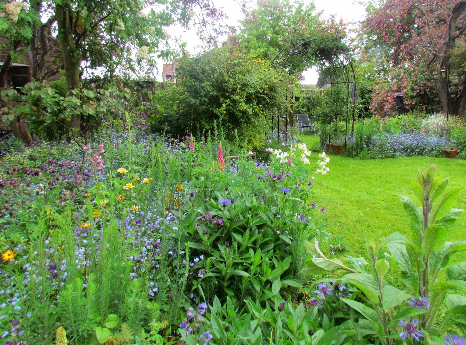 Woodlouse House The Wet Garden