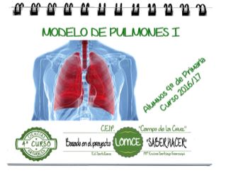 MODELO DE PULMONES