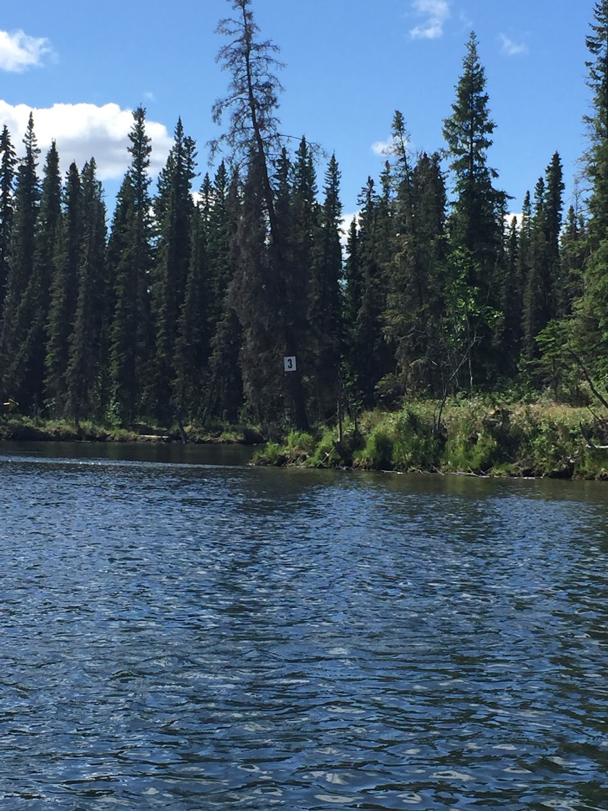 Kayaking the Clearwater River Delta Junction, Alaska Two Soulmates