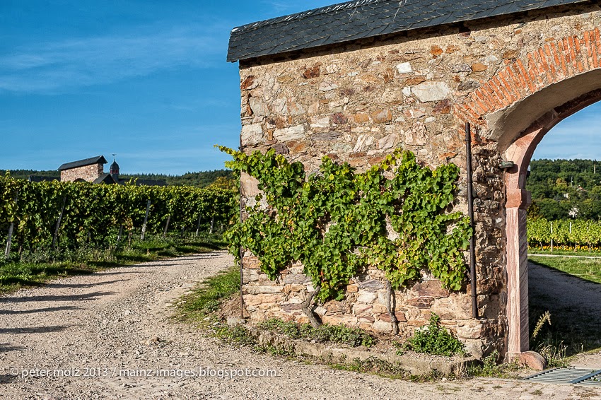 We Took The Road Less Traveled 6 Reasons To Visit Germany S