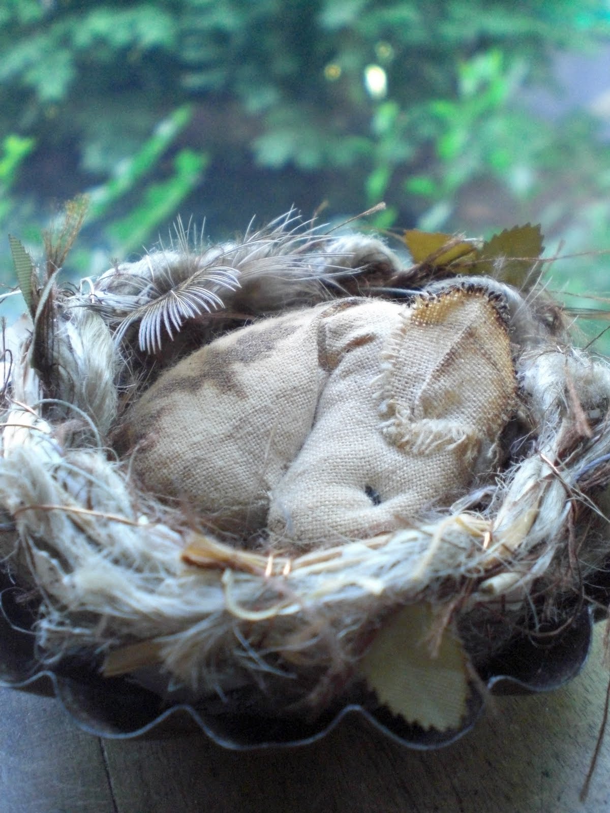 Гнездо мух в доме как выглядит Todolwen: More Nest Creations