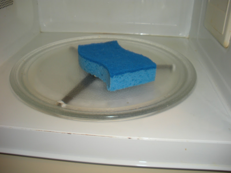 Working House Mom, Wife Disinfect Sponge in the Microwave
