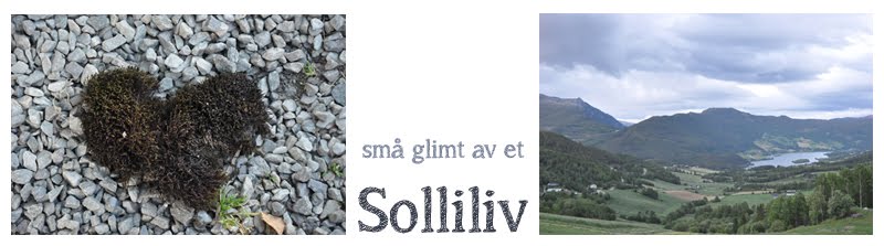 Solliliv