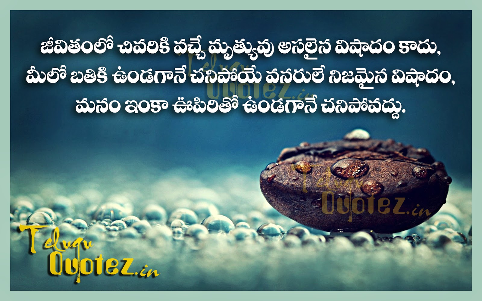 Telugu Quotes on life | naveengfx