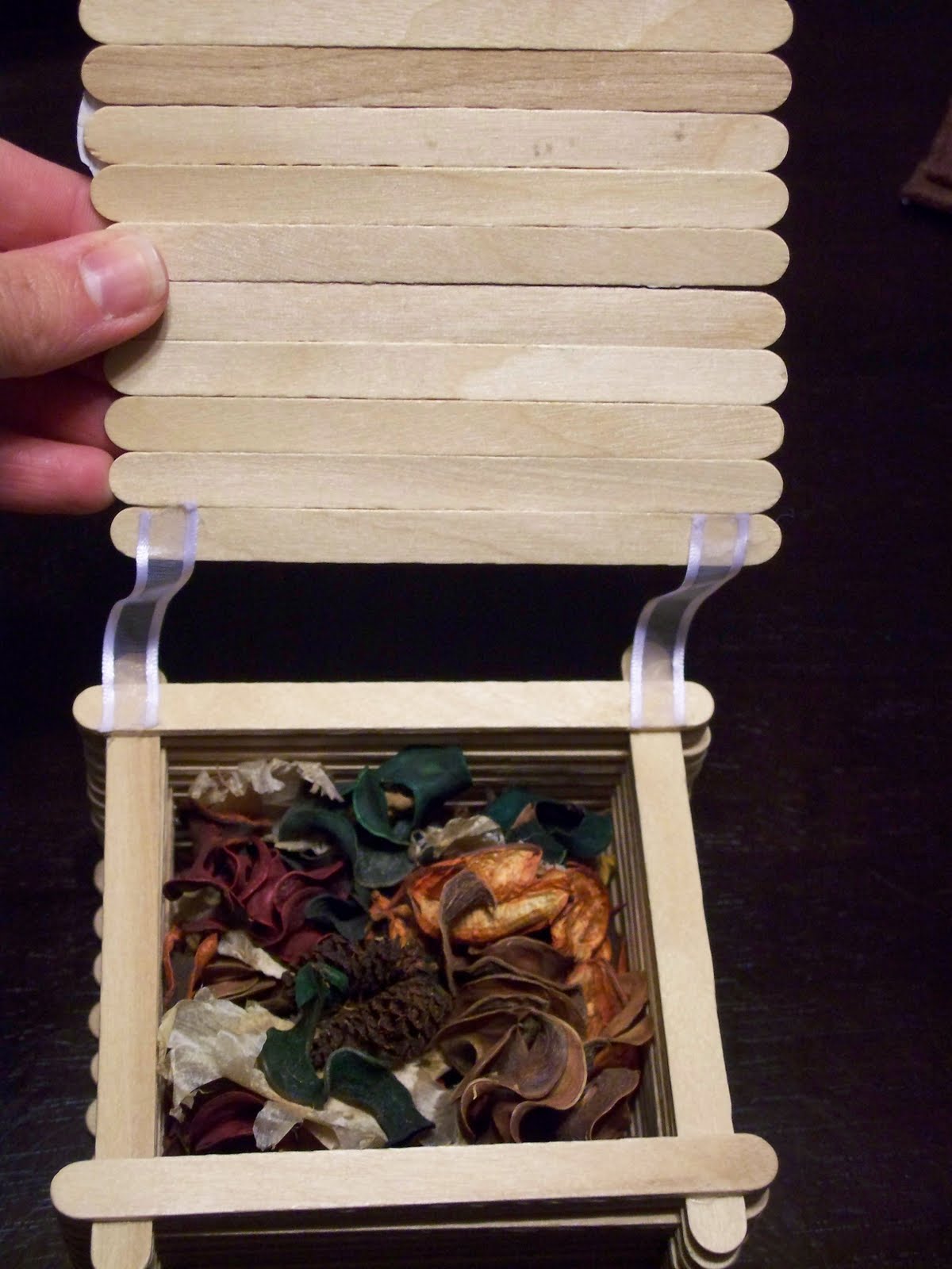 creativitylizette DIY Popsicle Stick Jewelry Box
