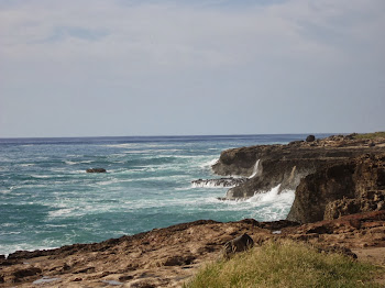 Looking towards the cliffs