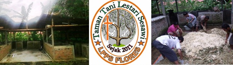 TAMAN TANI LESTARI SESAWI-LPPS FLORES