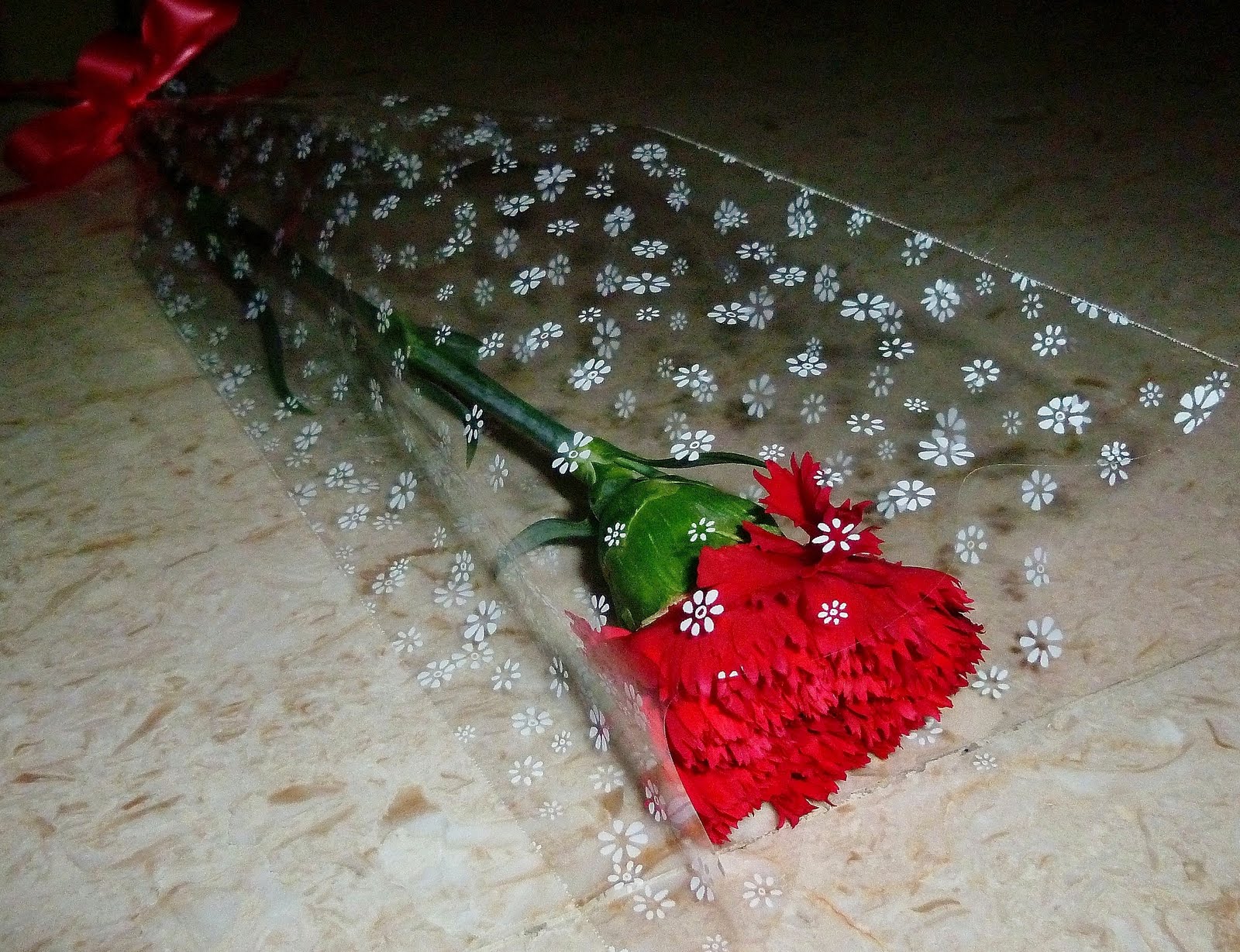 Fancy Flowers Services Mother's Day Carnations Single Stalk