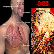 Obat Kanker Paru-Paru Tradisional - Ace Maxs Obat Multikhasiat