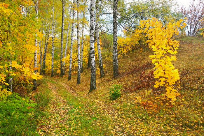 Фото Отдыха На Природе Осенью