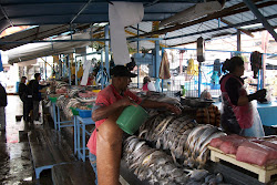 People we see and meet