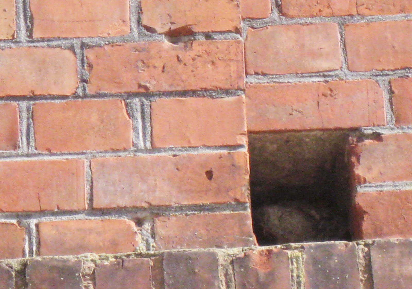 Blumenthal: Probleme und Chancen: März 2013