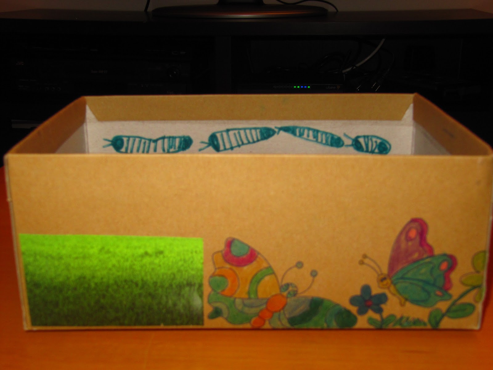 Alechka First Grade Science Project Success Academy Mealworm Dioramas