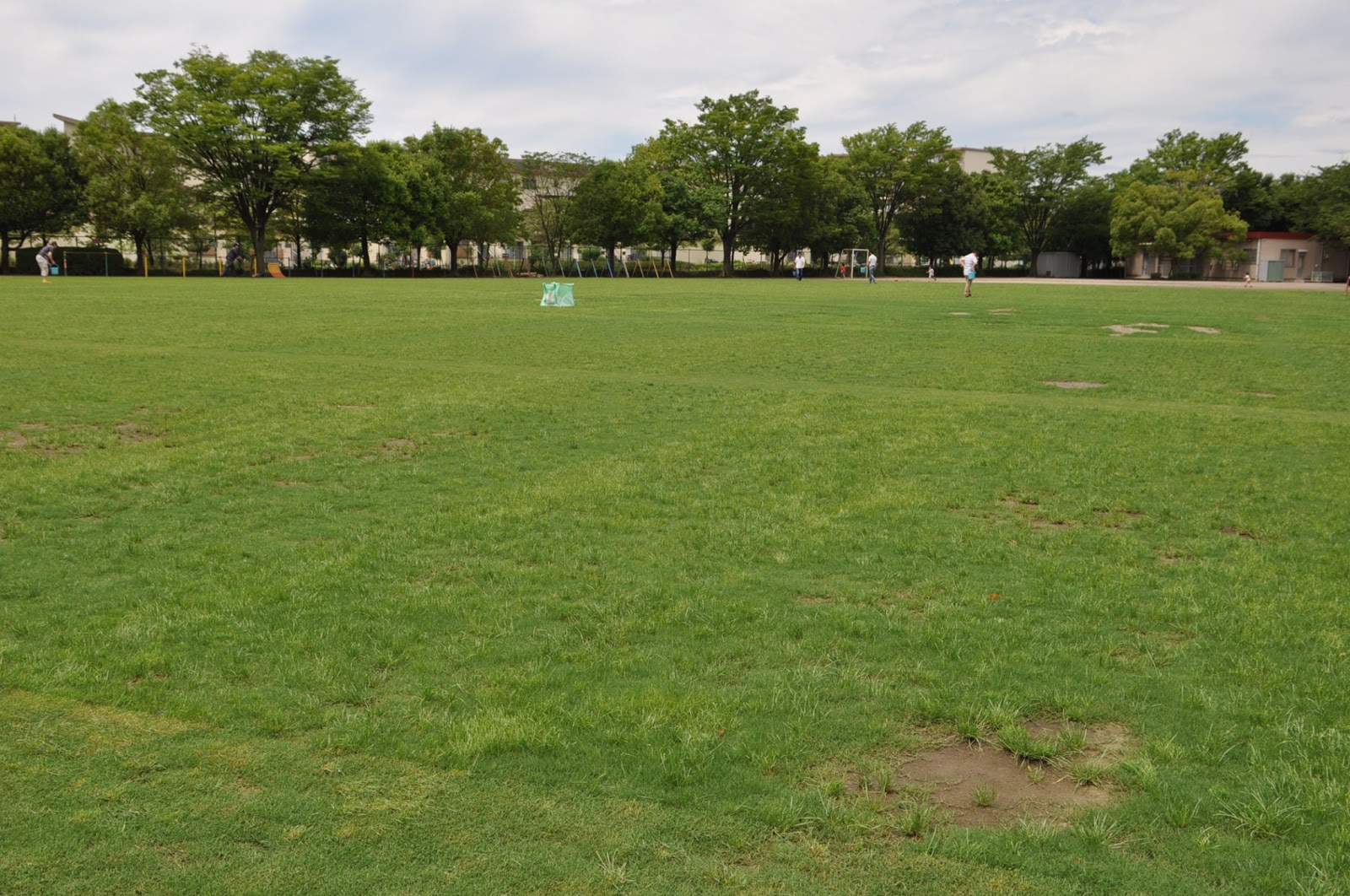 南鶴牧小学校greenネットワーク芝生管理ブログ ６月２２日 芝刈り体験 管理作業