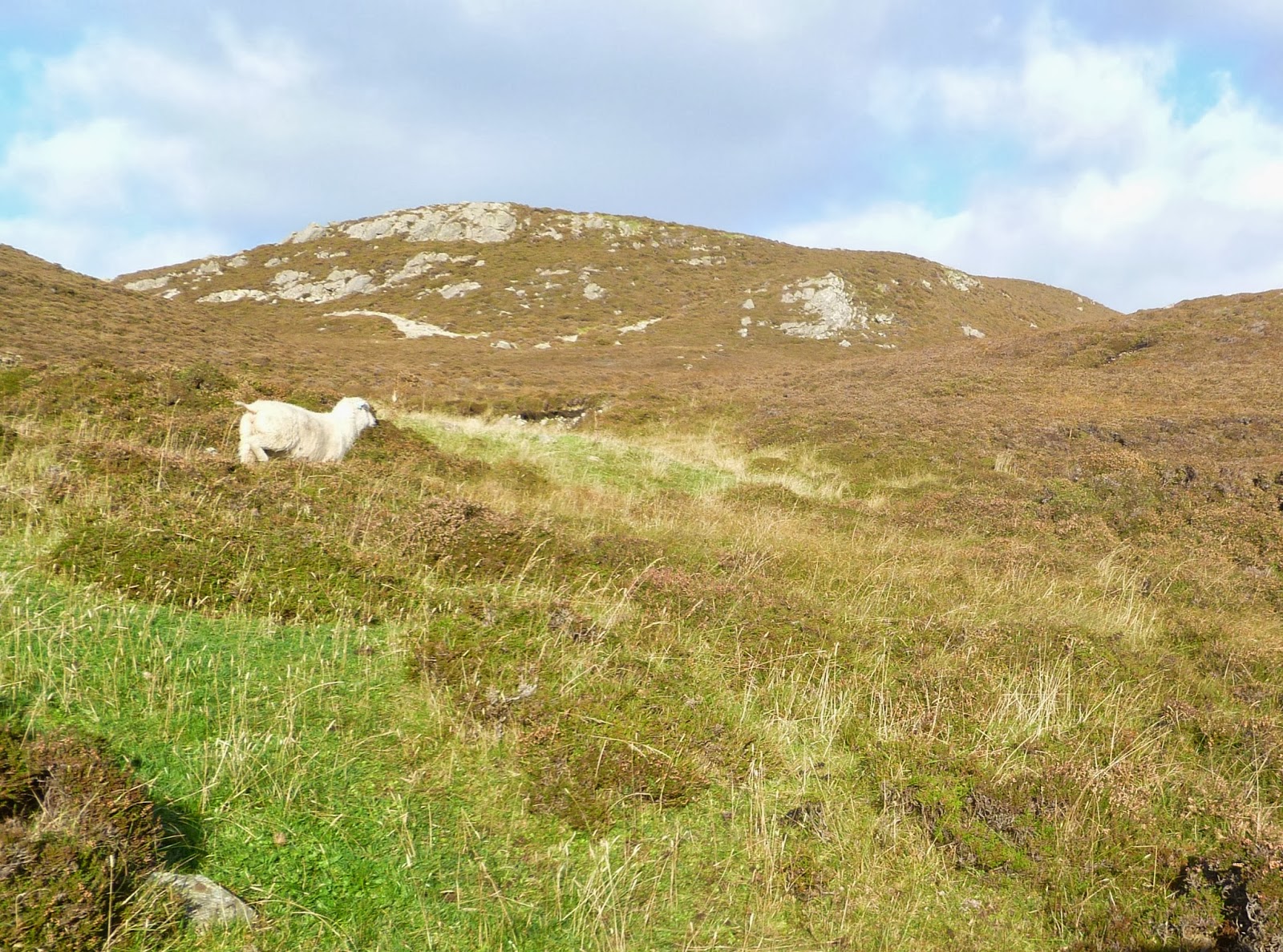 OK Acres Shetlands Part 2 Shetland Islands