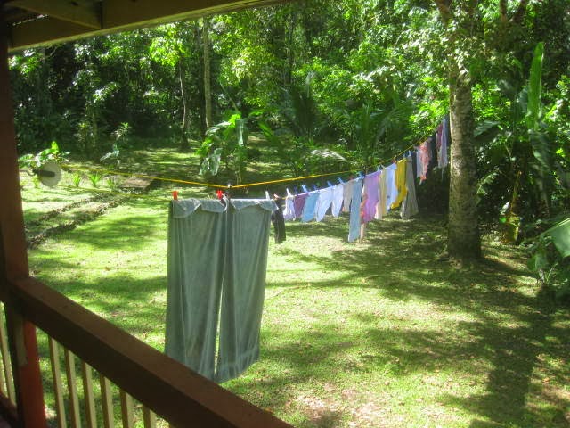 Laundry Day in the Rainforest