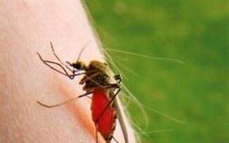 Η εφαρμογή που διώχνει τα κουνούπια