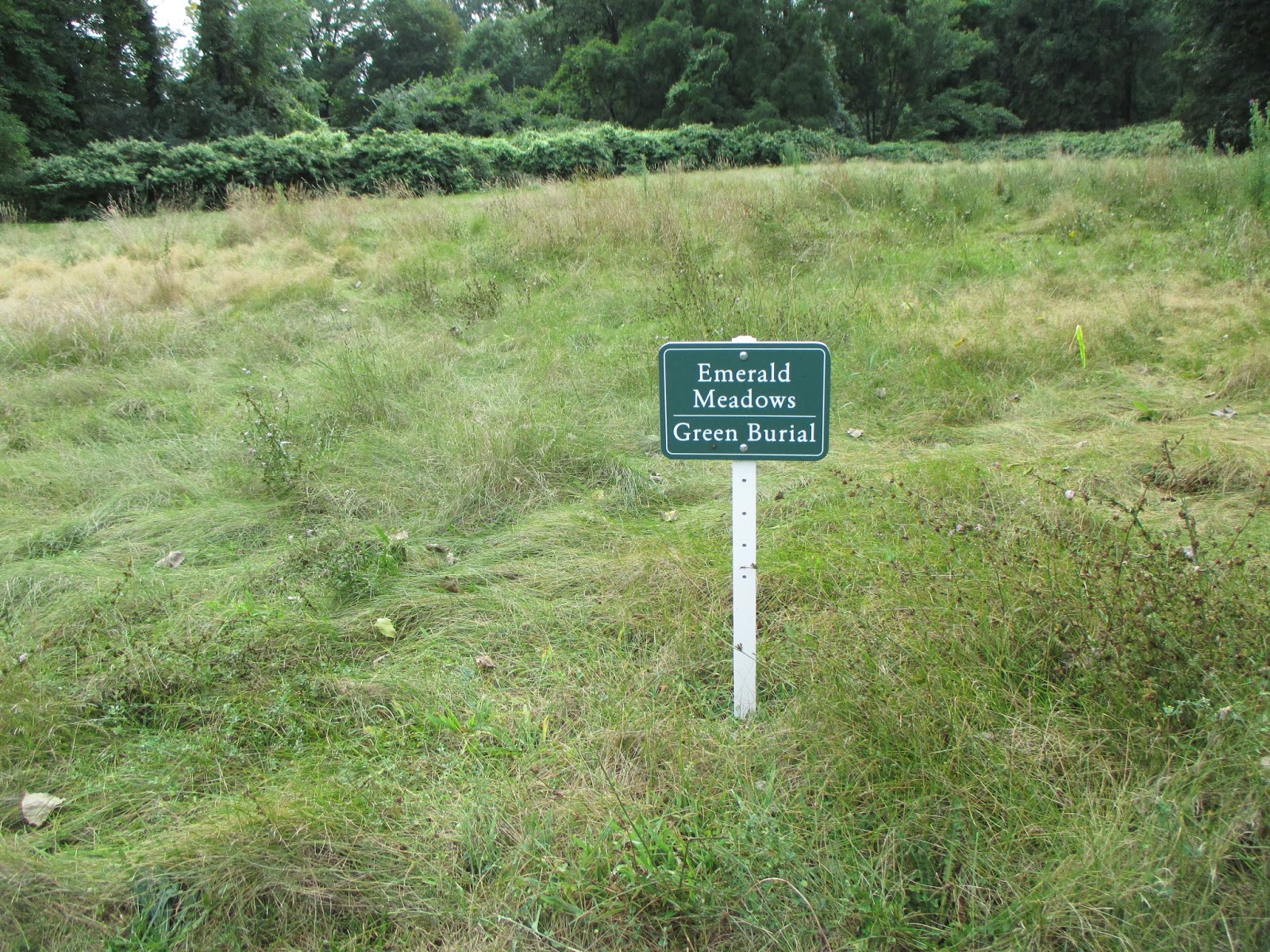 FINISHING TOUCHES NATURAL BURIAL HYBRID CEMETERY