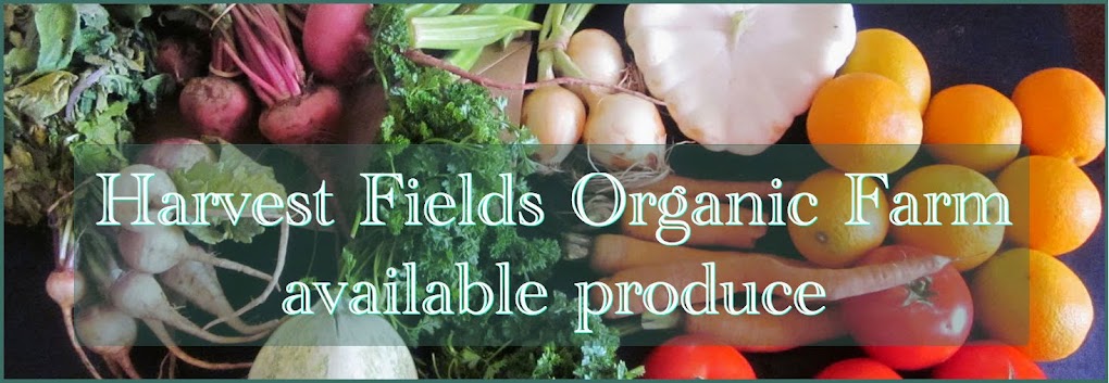 Harvest Fields Organic Farm