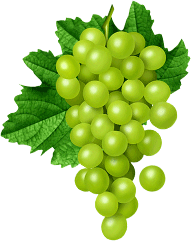 Resultado de imagen para frutas