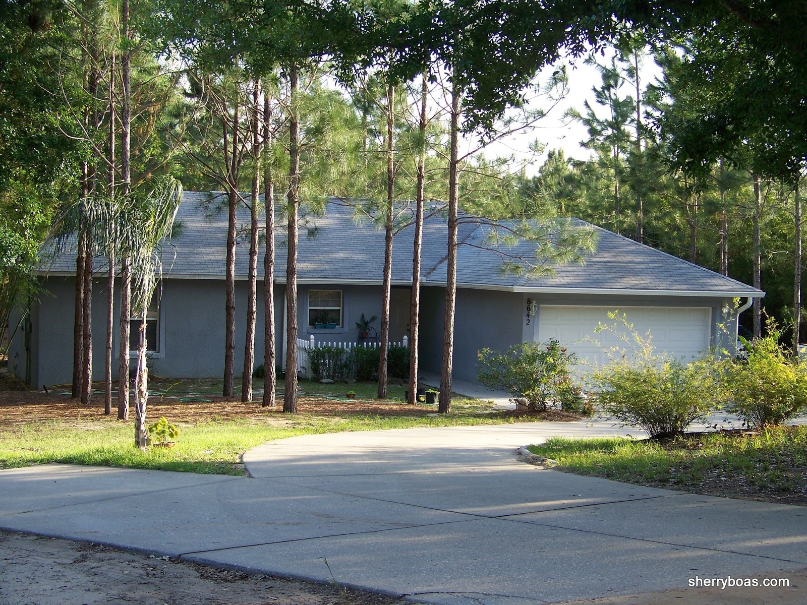 Lake County Florida Homes For Rent and Sale