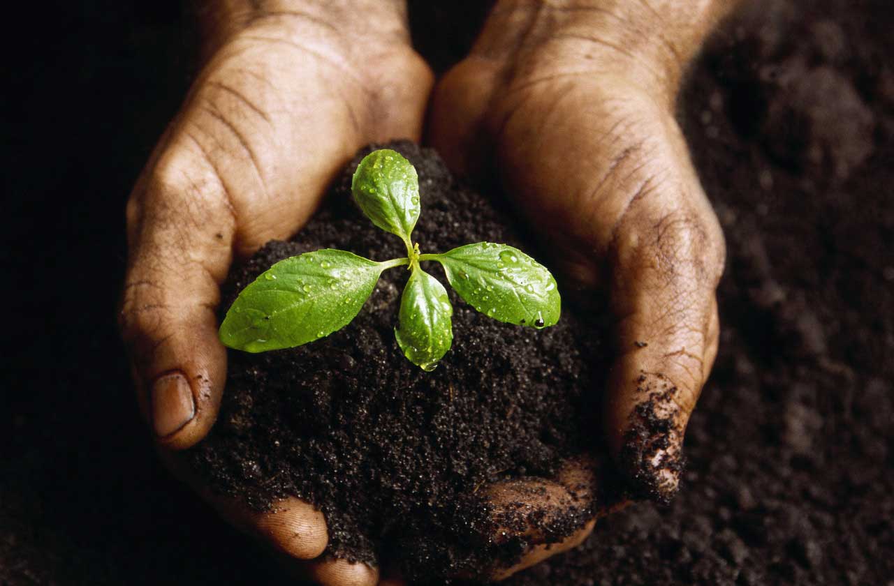 Growing Spiritually