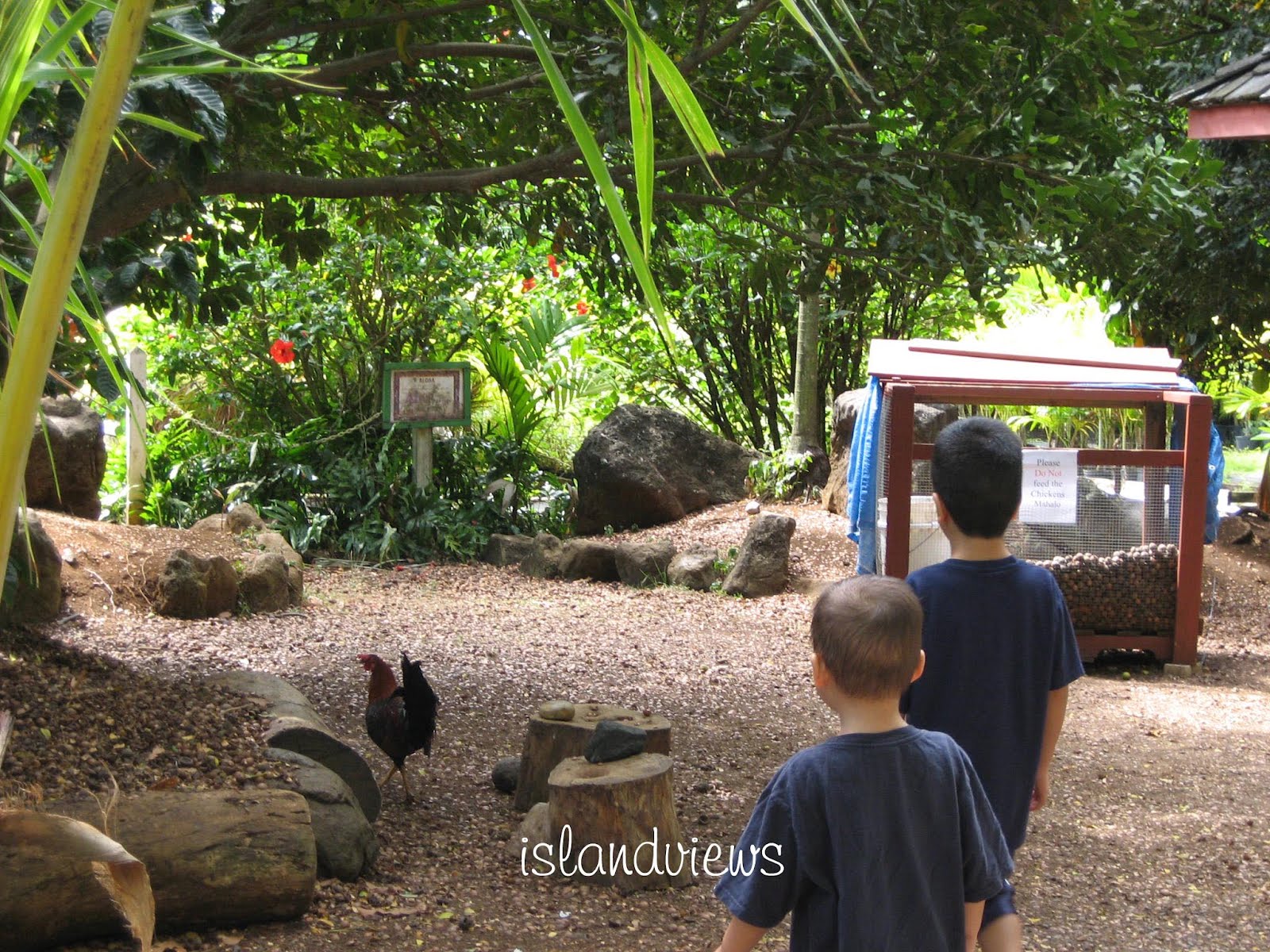 Hawaii Mom Blog Tropical Farms Stop 2 on Oahu HalfDay Trip