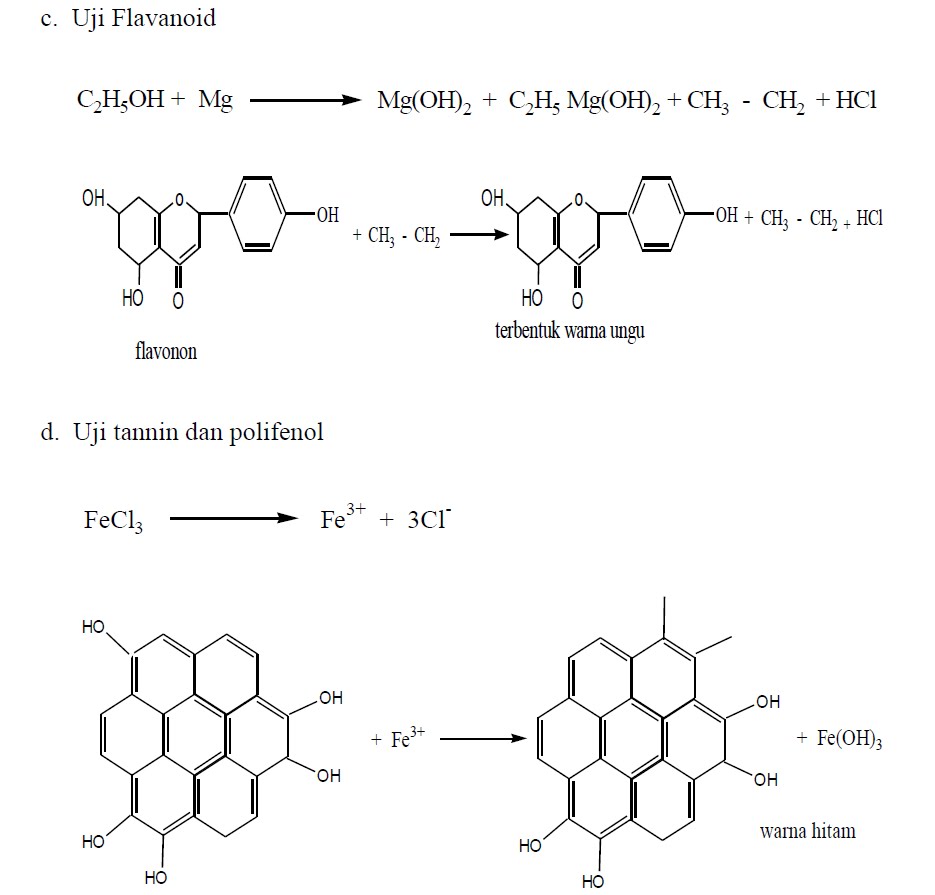 Sarana Berbagi Ilmu CONTOH LAPORAN KIMIA ORGANIK 2