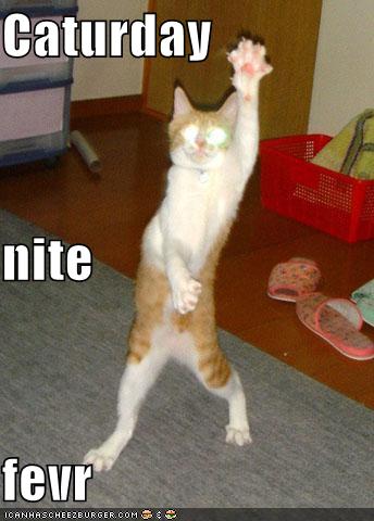 funny-pictures-caturday-night-fever-dancing-cat%255B1%255D.jpg