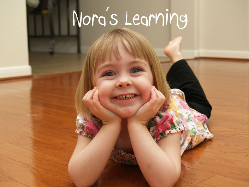 Nora's Learning
