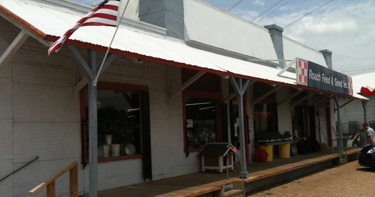 Moss Haven Farm The Local Feed Store