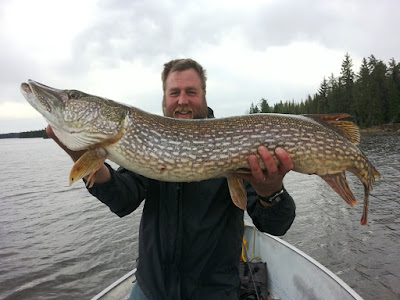 These lures really had northern pike hopping - Bow Narrows Camp Blog on Red  Lake Ontario