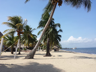 Remax Vip Belize:  Beach view from resort end of Hopkins