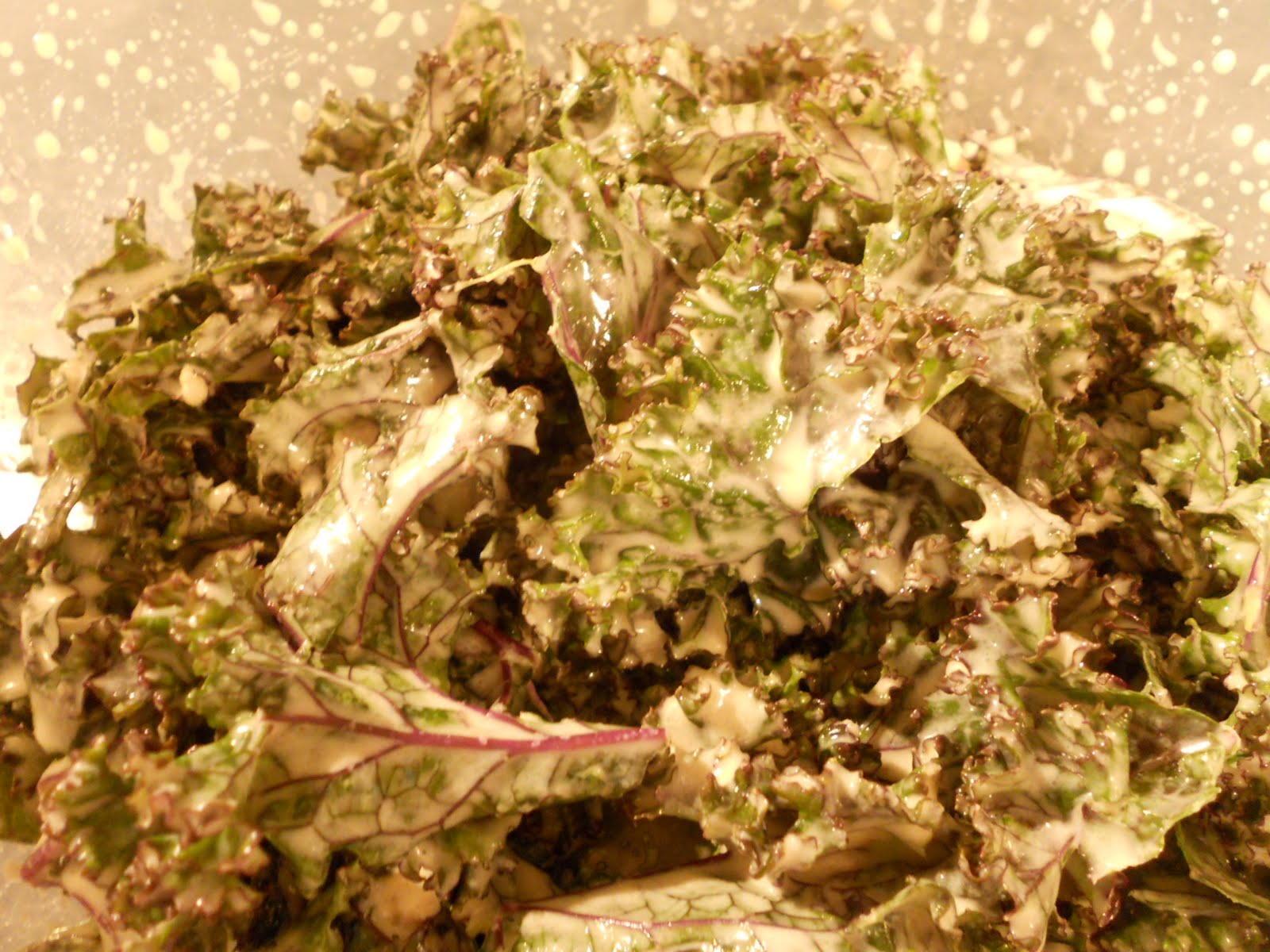 Czech Vegan (in America) Garlicky Cheezy KaleVegan MoFo Day 2