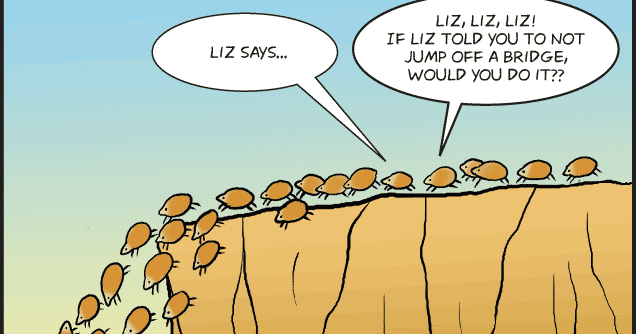 The Social Pathologist: Lemmings.