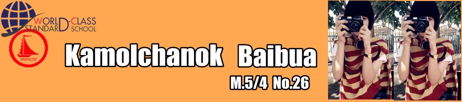 kamolchanok Baibua 26