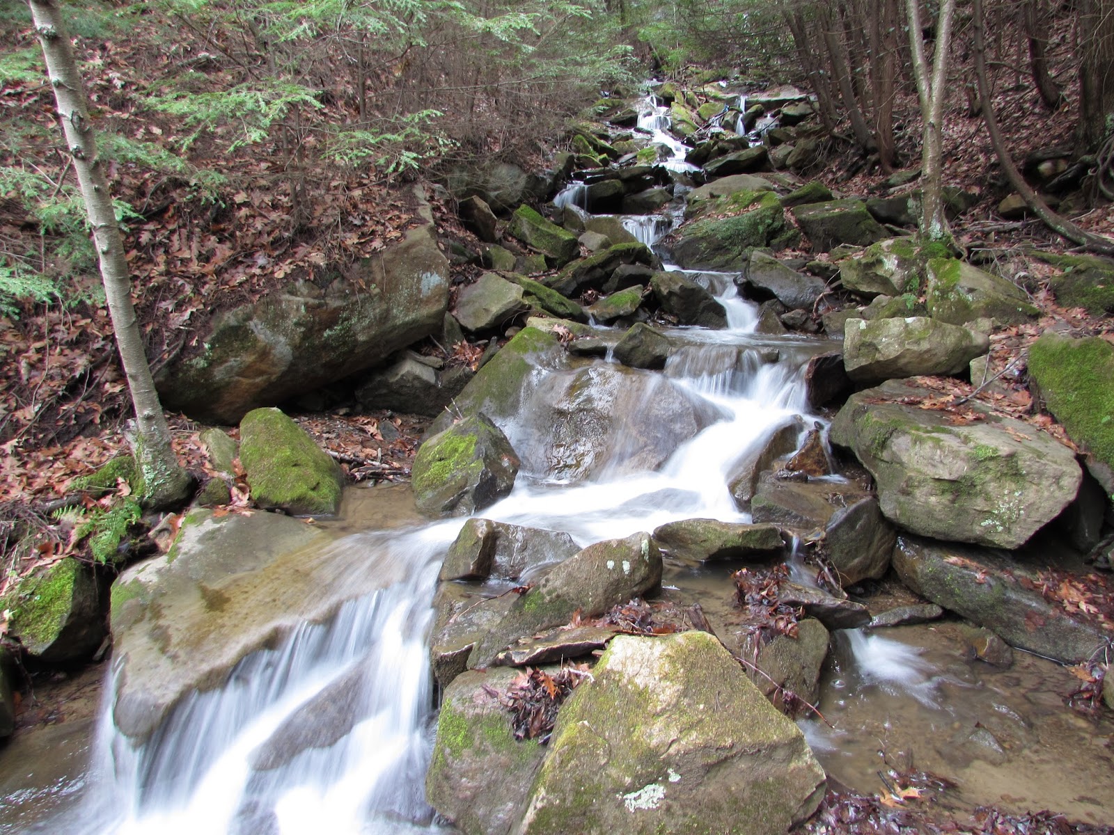 Buttermilk Falls North, Cowanshannock Trail, Armstrong County