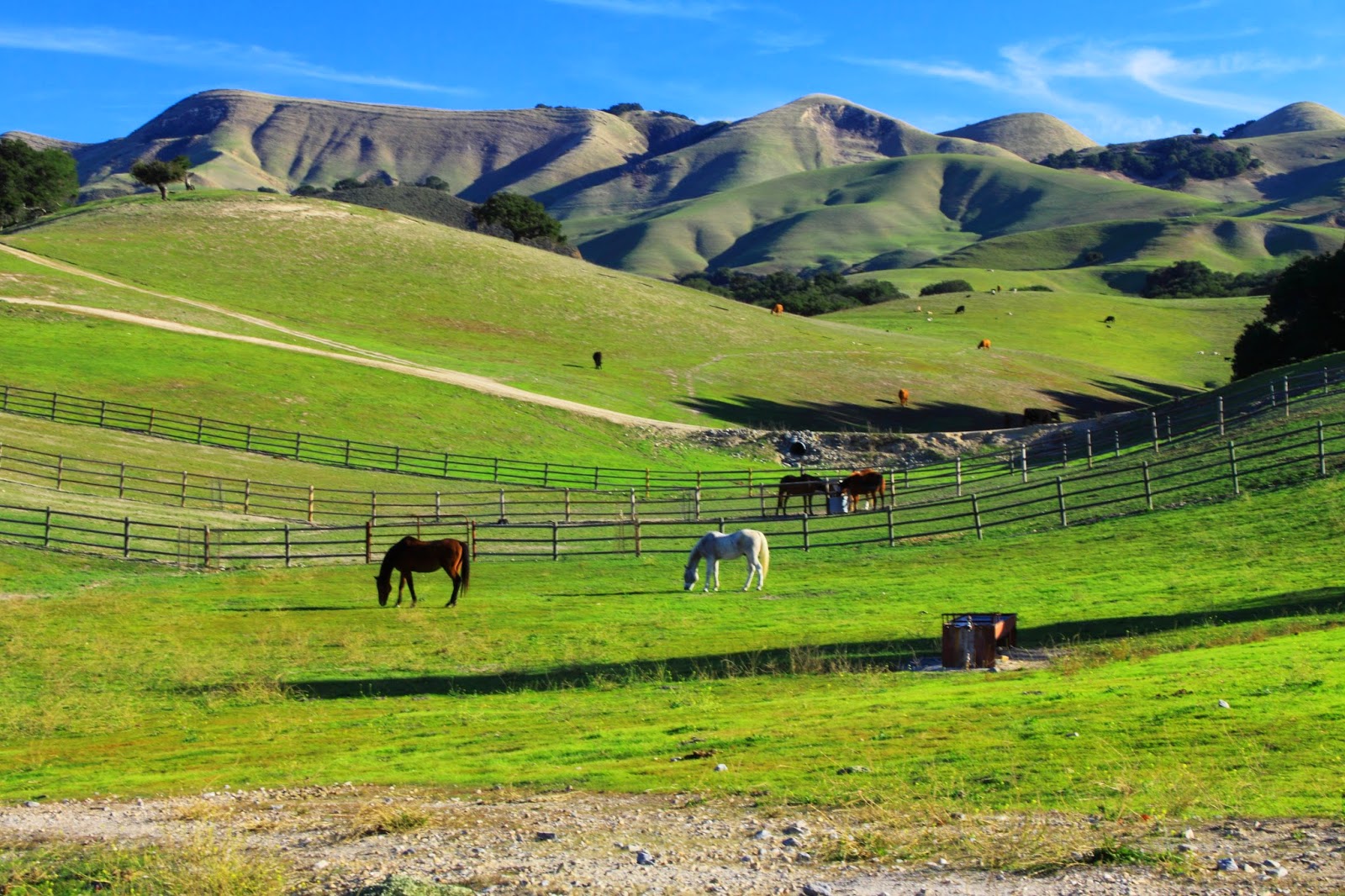 California Central Coast Living Horse Property Near San Luis Obispo
