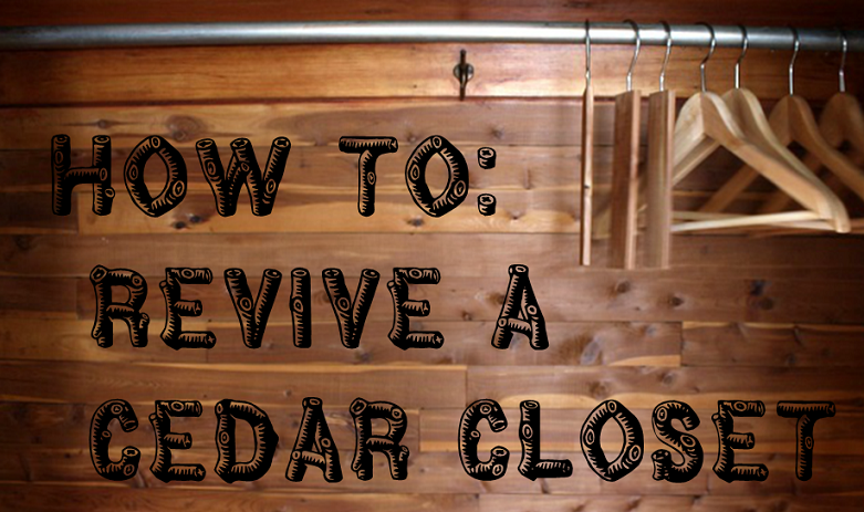 Meet Me in Philadelphia: How To: Revive a Cedar Closet