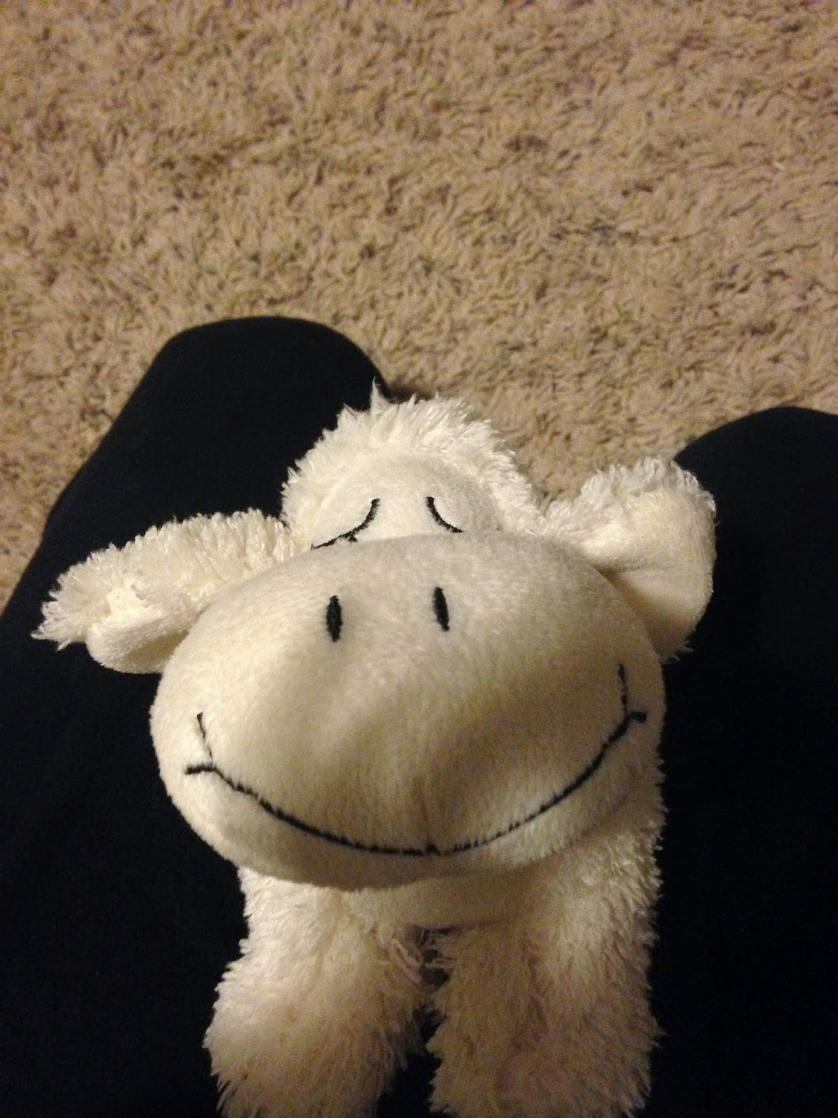 Simply Blessed Journey of Life DIY Weighted Stuffed Animals/Lap Buddies