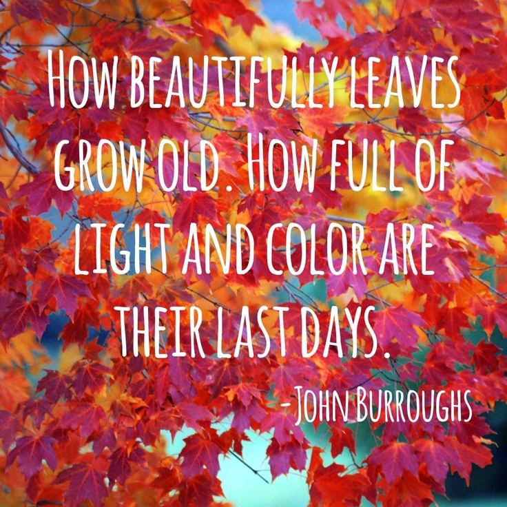All Things Audry: "Fall" in love with Autumn: Ten Quotes/Sayings!