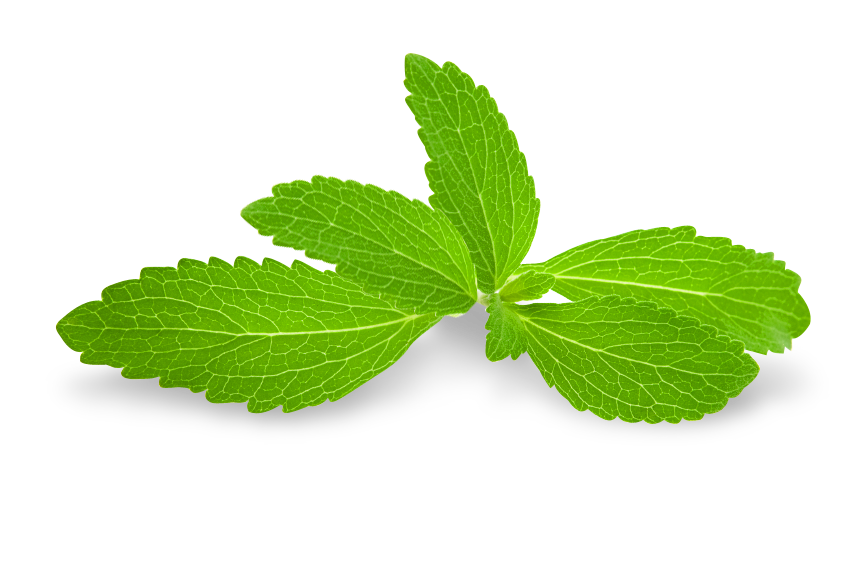 pemanis stevia jom tukar gula kepada pemanis stevia pemanis stevia jom tukar gula kepada pemanis stevia