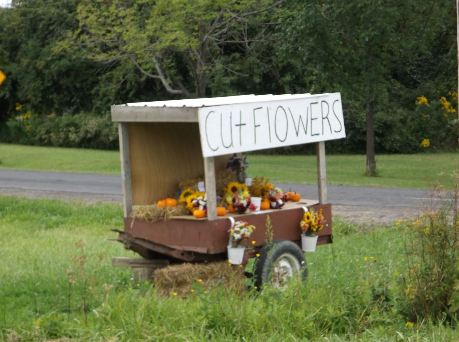 New York State of Mind AMISH, MENNONITE & ENGLISHER ROADSIDE STANDS